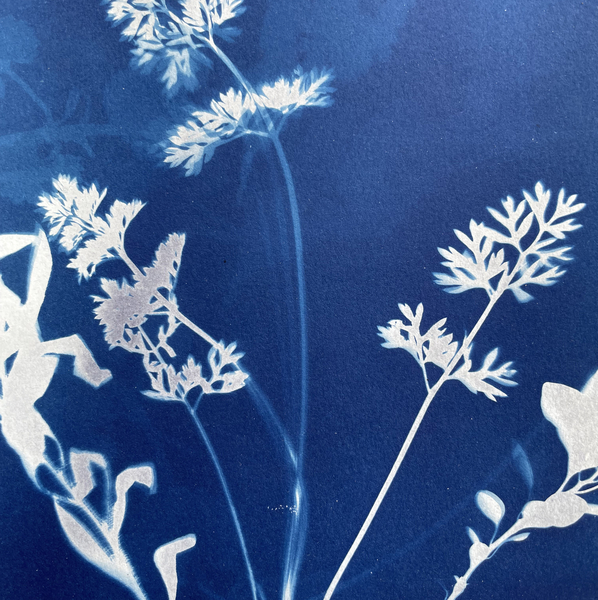 Event image FOLIARTS - CYANOTYPE PRINTING